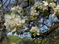 Ludolfshausen-und-Umgebung-124