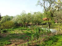 Ludolfshausen-und-Umgebung-125