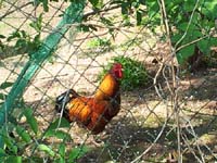 Ludolfshausen-und-Umgebung-129