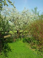 Ludolfshausen-und-Umgebung-130