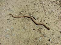 Ludolfshausen-und-Umgebung-131