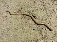 Ludolfshausen-und-Umgebung-132