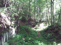 Ludolfshausen-und-Umgebung-133