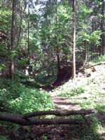 Ludolfshausen-und-Umgebung-136