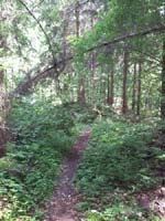 Ludolfshausen-und-Umgebung-137