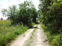 Ludolfshausen-und-Umgebung-141