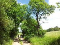 Ludolfshausen-und-Umgebung-142