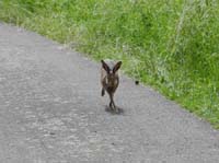 Ludolfshausen-und-Umgebung-148