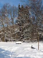 Ludolfshausen-und-Umgebung-160