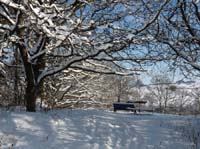 Ludolfshausen-und-Umgebung-161