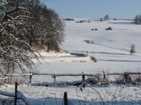 Ludolfshausen-und-Umgebung-170