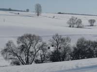 Ludolfshausen-und-Umgebung-171