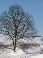 Ludolfshausen-und-Umgebung-172