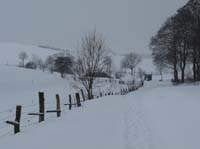 Ludolfshausen-und-Umgebung-179