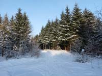 Ludolfshausen-und-Umgebung-180