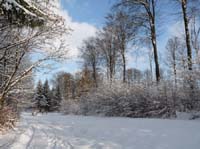 Ludolfshausen-und-Umgebung-181