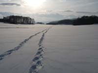 Ludolfshausen-und-Umgebung-182