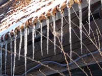 Ludolfshausen-und-Umgebung-183