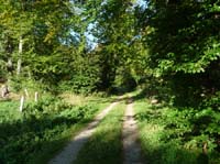 Ludolfshausen-und-Umgebung-199