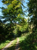 Ludolfshausen-und-Umgebung-200