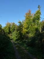 Ludolfshausen-und-Umgebung-201