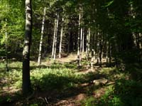 Ludolfshausen-und-Umgebung-202