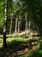 Ludolfshausen-und-Umgebung-203