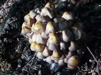 Ludolfshausen-und-Umgebung-204