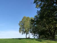 Ludolfshausen-und-Umgebung-206