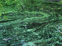 Ludolfshausen-und-Umgebung-209