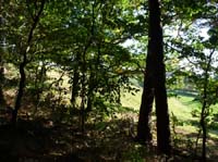 Ludolfshausen-und-Umgebung-210