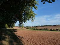 Ludolfshausen-und-Umgebung-212