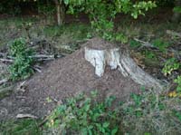 Ludolfshausen-und-Umgebung-213