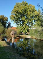 Ludolfshausen-und-Umgebung-217