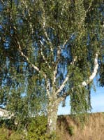 Ludolfshausen-und-Umgebung-221