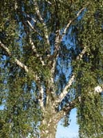 Ludolfshausen-und-Umgebung-222