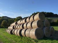 Ludolfshausen-und-Umgebung-224