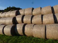 Ludolfshausen-und-Umgebung-225