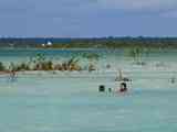 04_Bacalar_18_20639