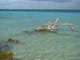 04_Bacalar_18_20665