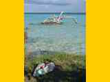 04_Bacalar_18_20666