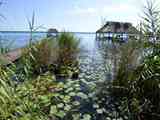 04_Bacalar_18_20695