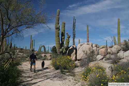 Baja California Wandern