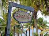 02_Isla_Holbox_20080