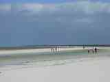 02_Isla_Holbox_20208