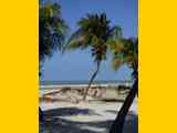 02_Isla_Holbox_20244