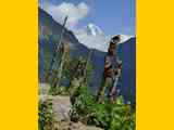 Nepal_ABC_171029_0077