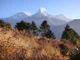 Nepal_ABC_171029_0179
