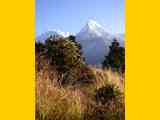 Nepal_ABC_171029_0181