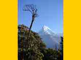 Nepal_ABC_171029_0192